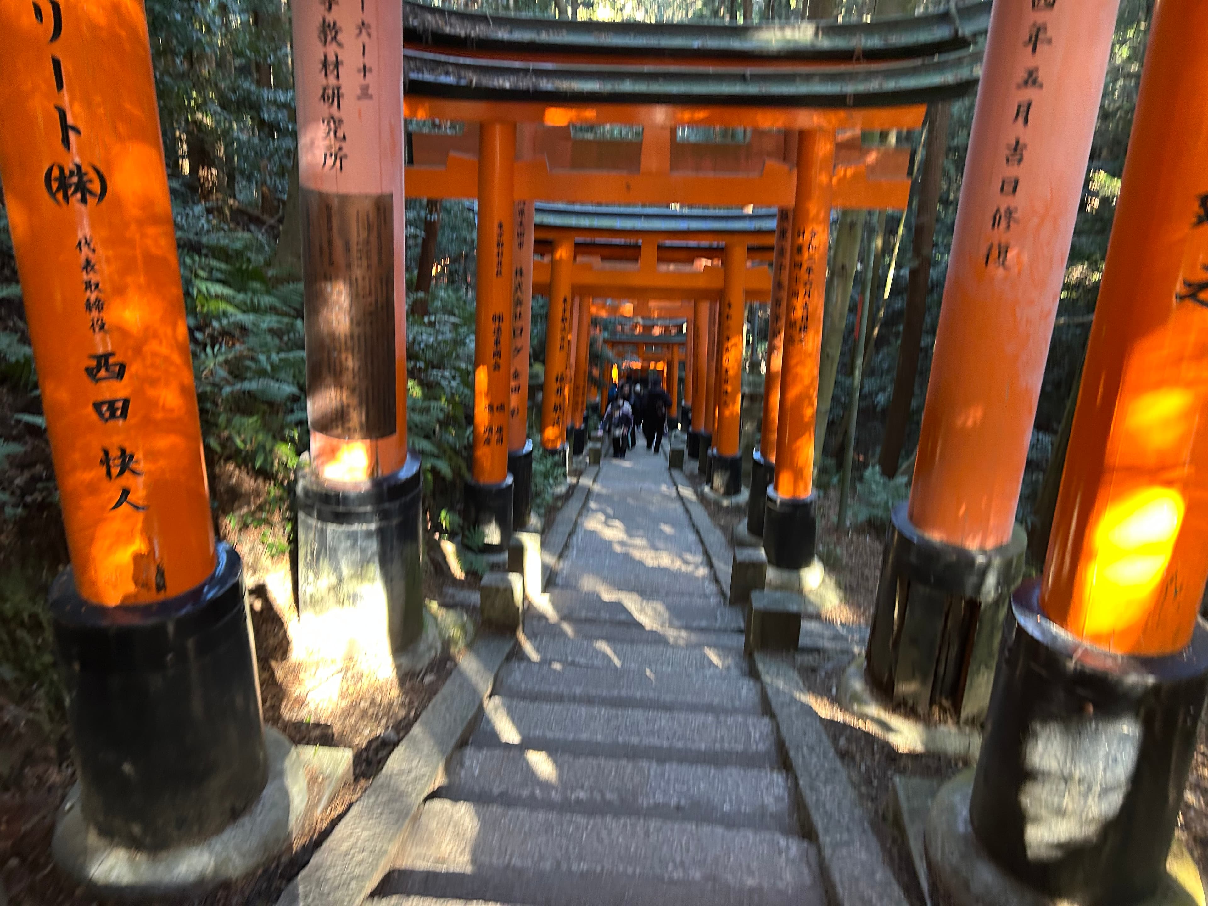 Kyoto - 03 de Enero - 3