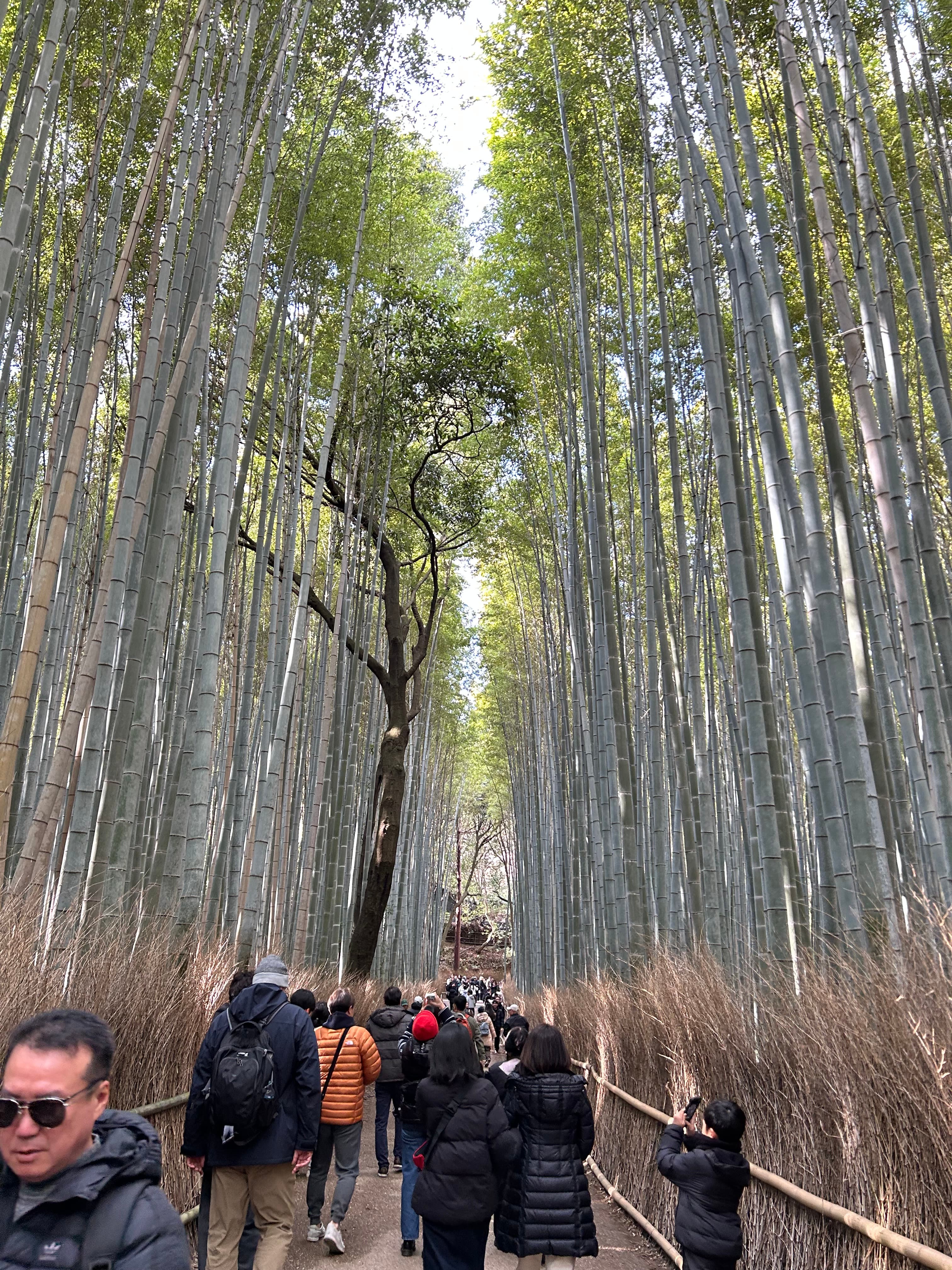 Foto - 04 de Enero - 1