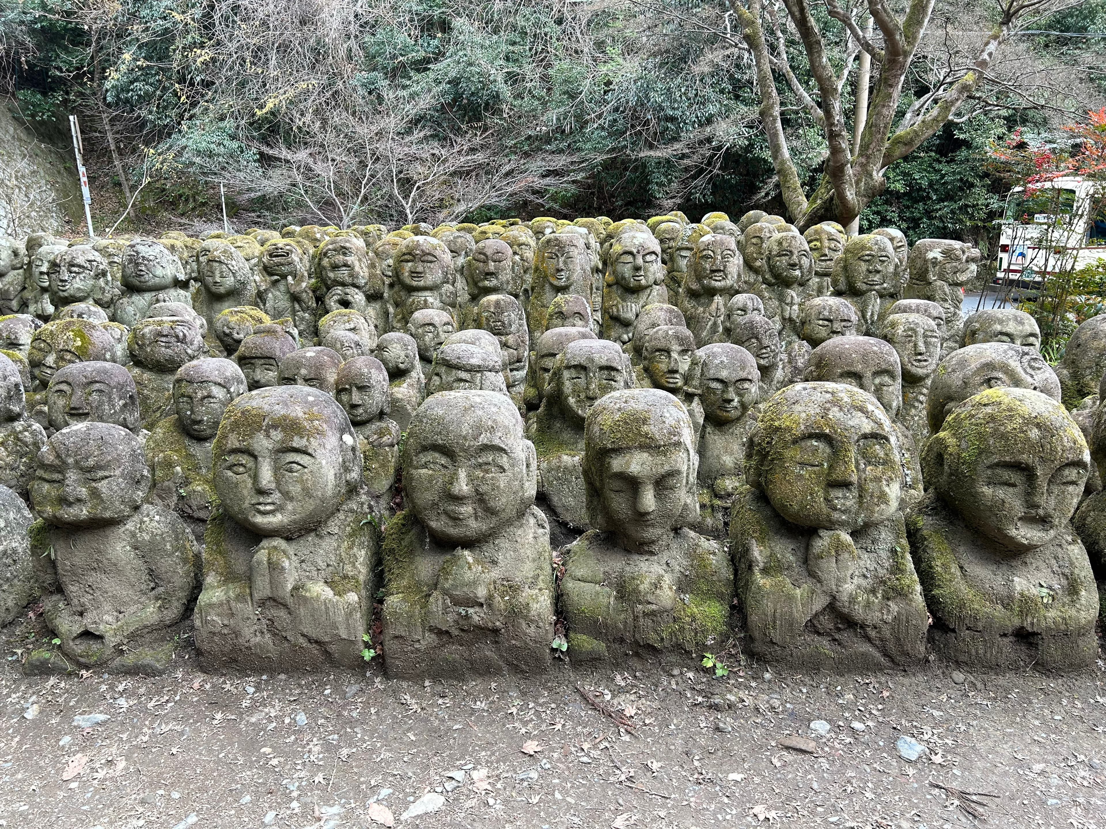 Foto - 04 de Enero - 3