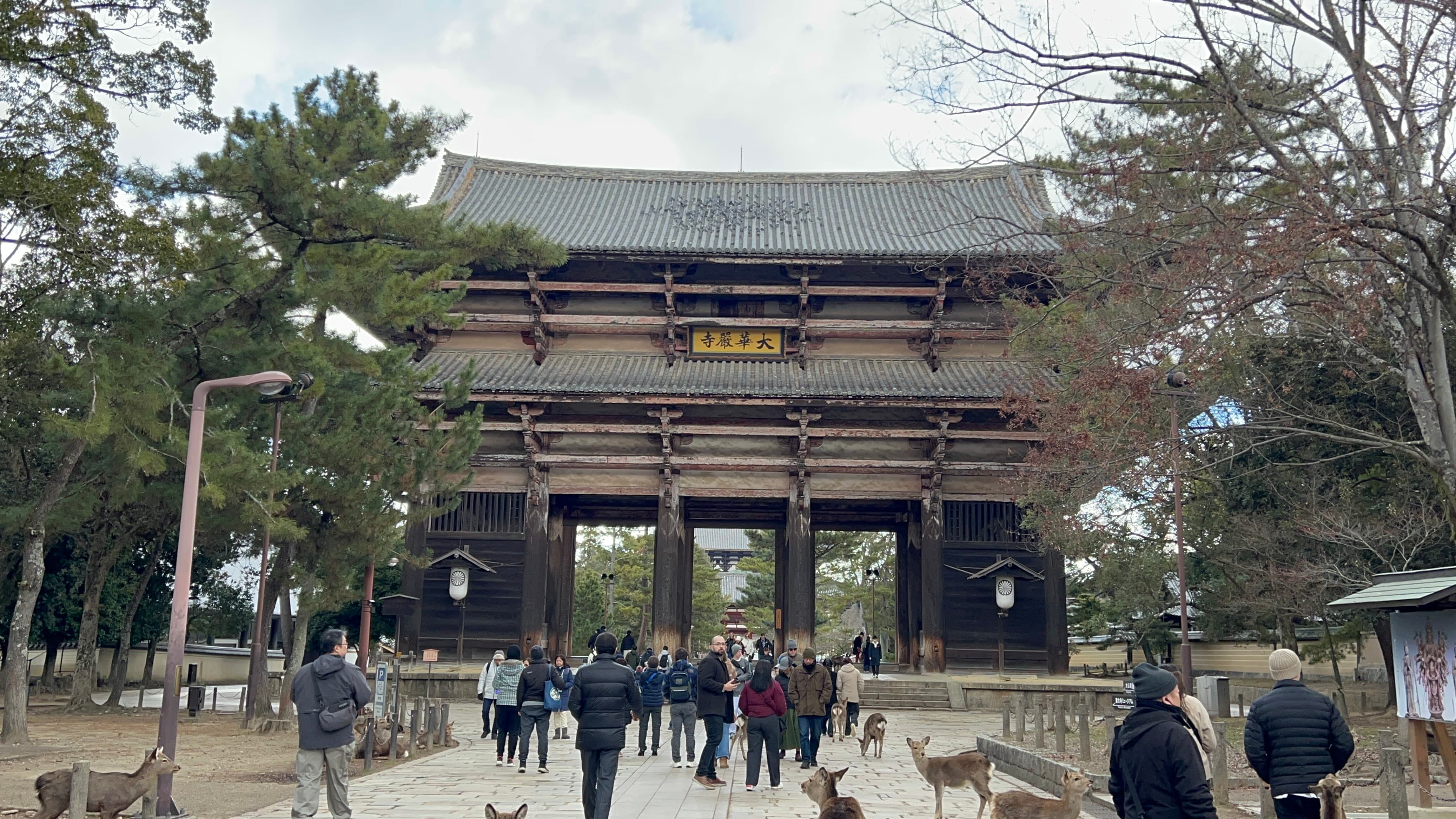 Nara - 08 de Enero - 2