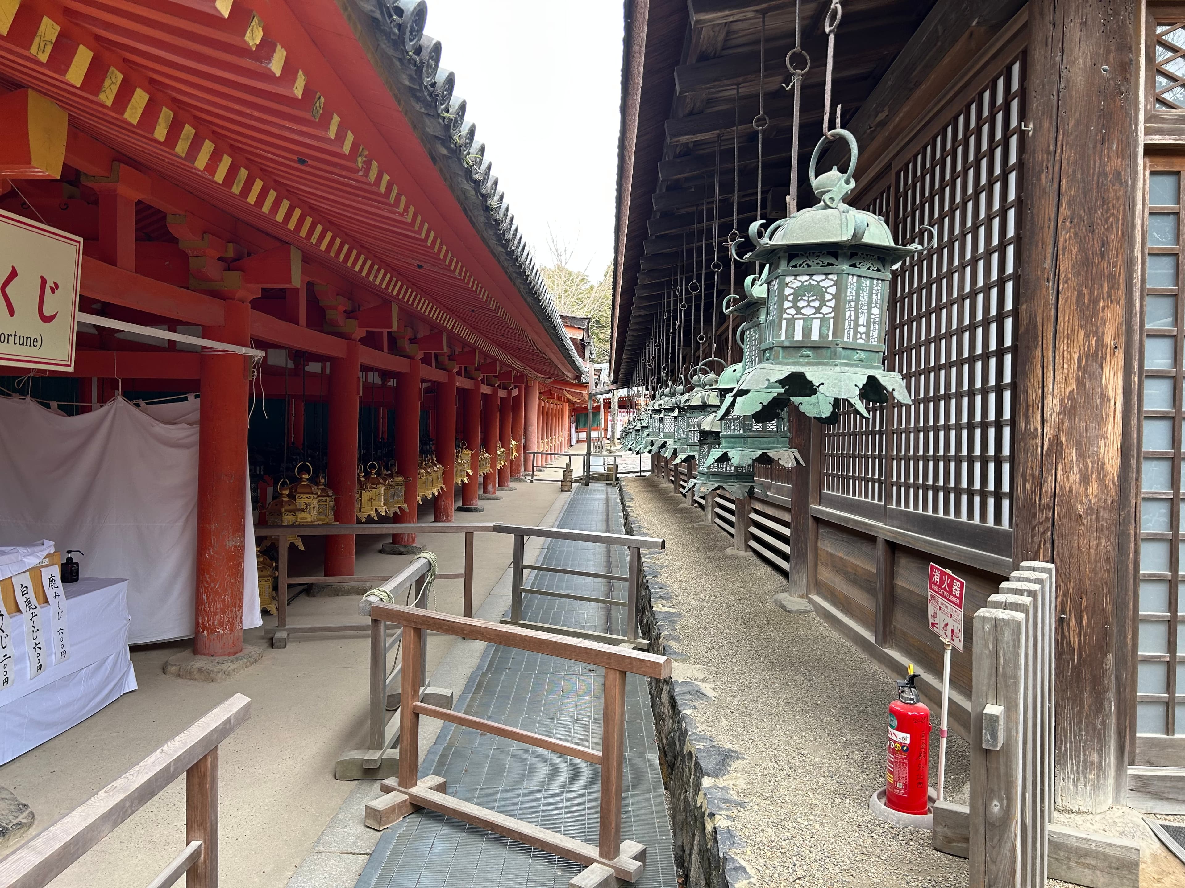 Nara - 08 de Enero - 6