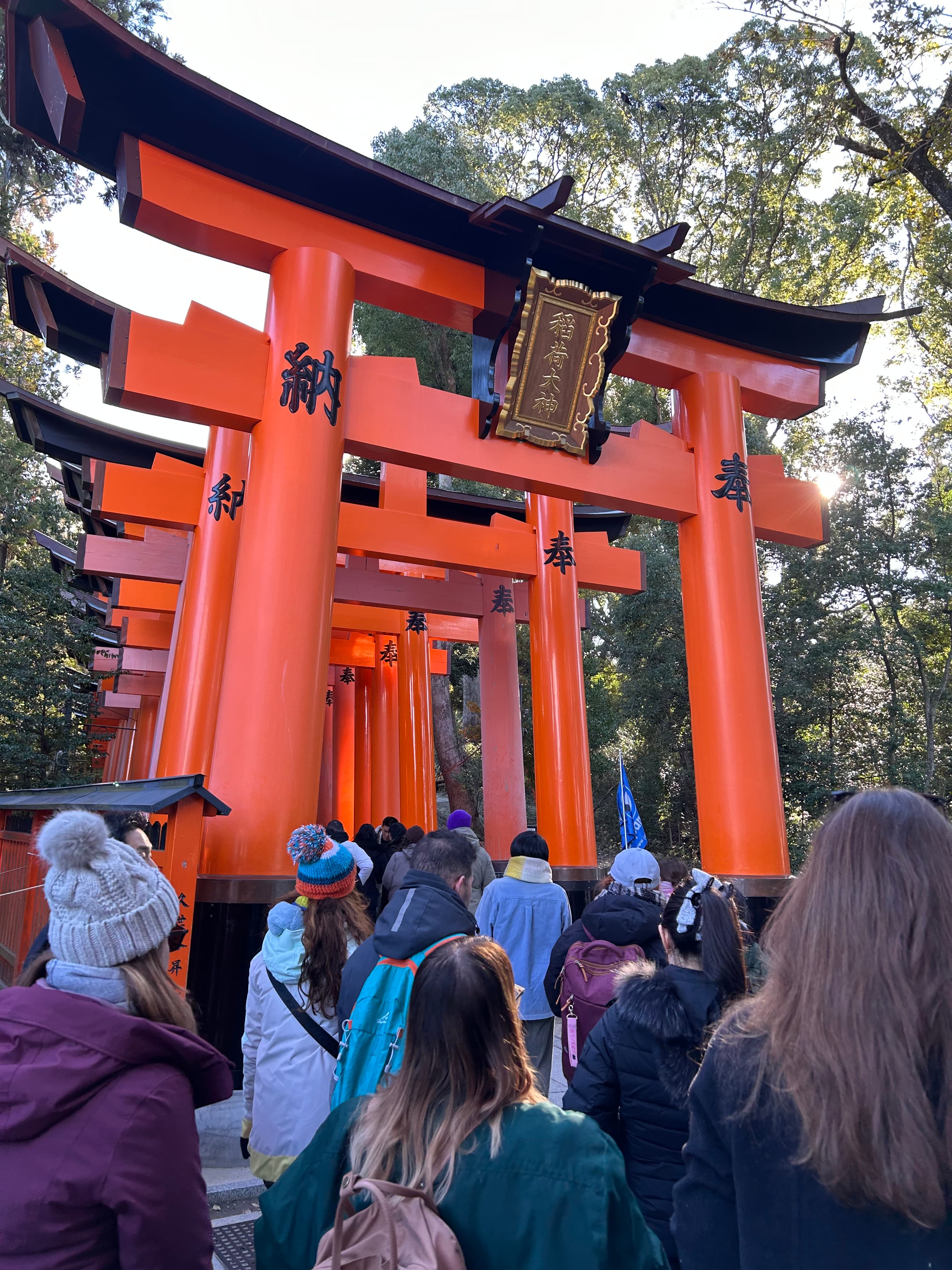 Portada de Día 5: Las 10.000 Puertas Torii y el Misterio de las Geishas